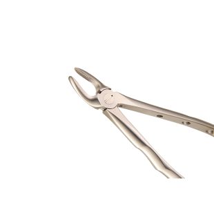 Clove Extracting Forcep